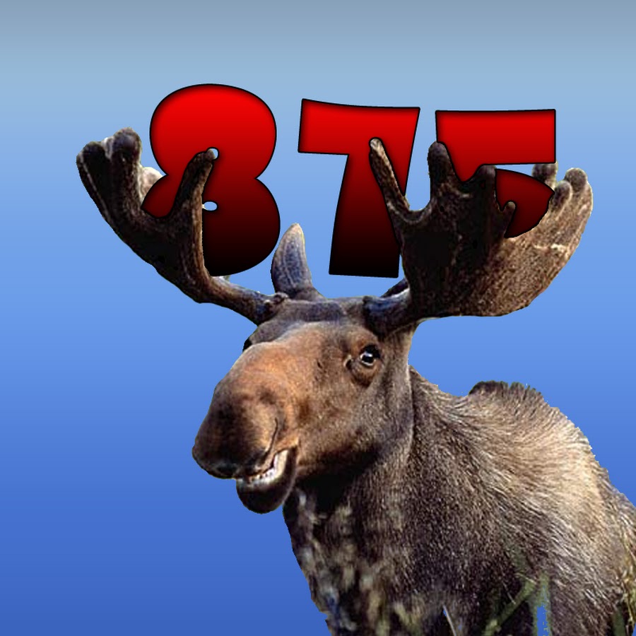 moose875 Avatar canale YouTube 