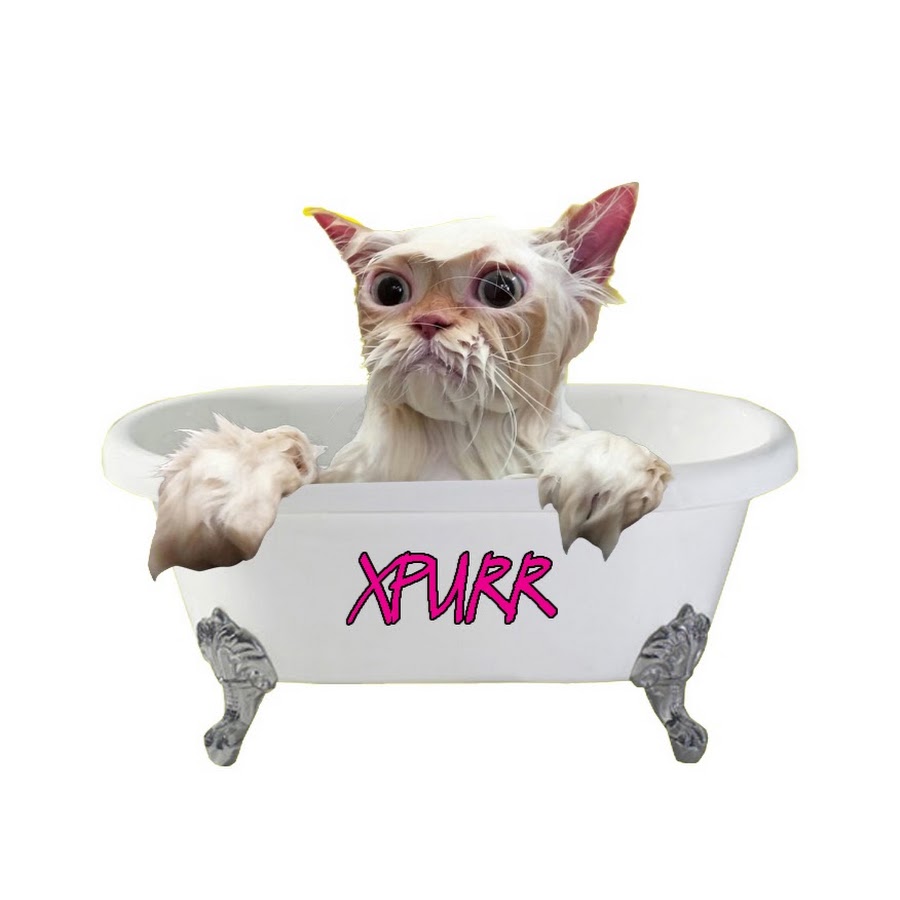 xpurr यूट्यूब चैनल अवतार