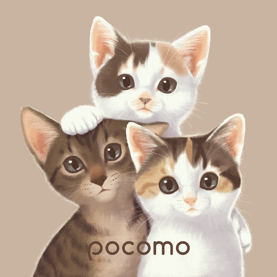 Pocomo Life Youtube