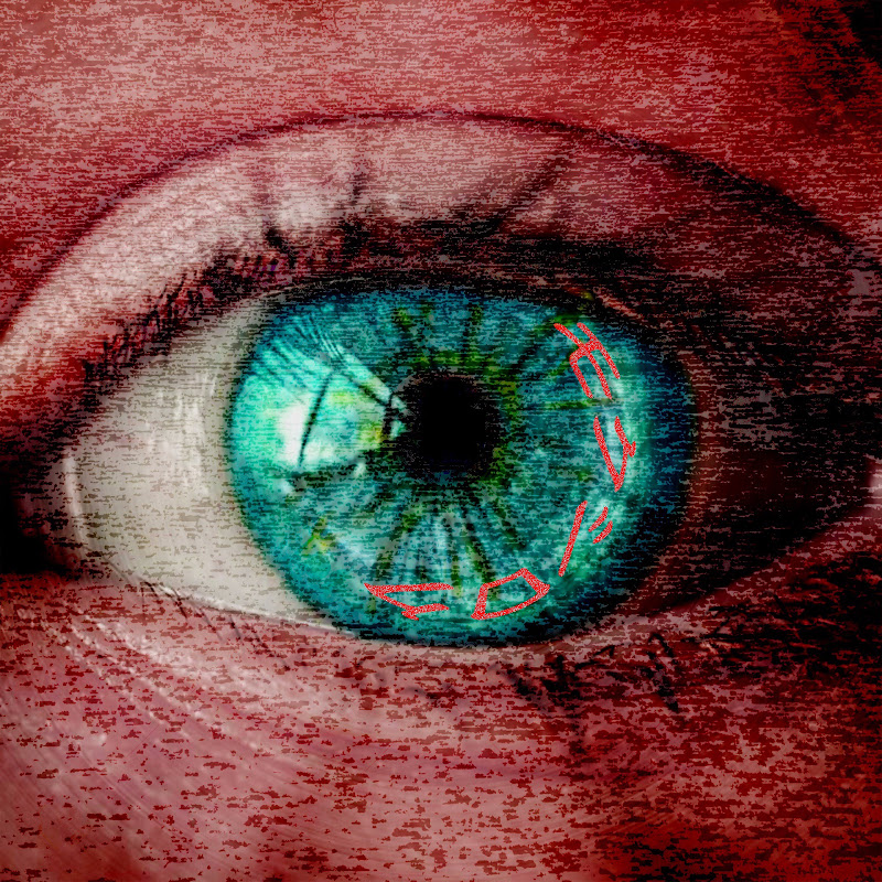 モクシロク - 網紅的藏寶箱 