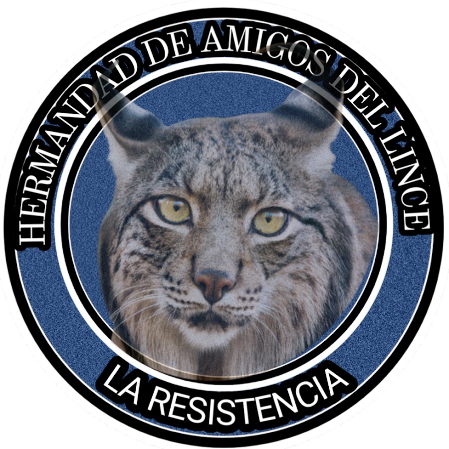 Angel Jesus Bravo De Medina Sanchez Youtube