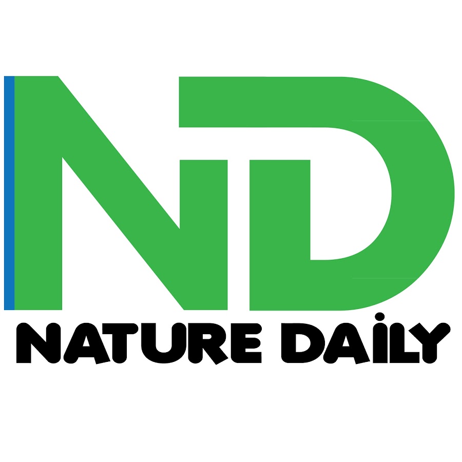 Nature Daily ইউটিউব চ্যানেল অ্যাভাটার