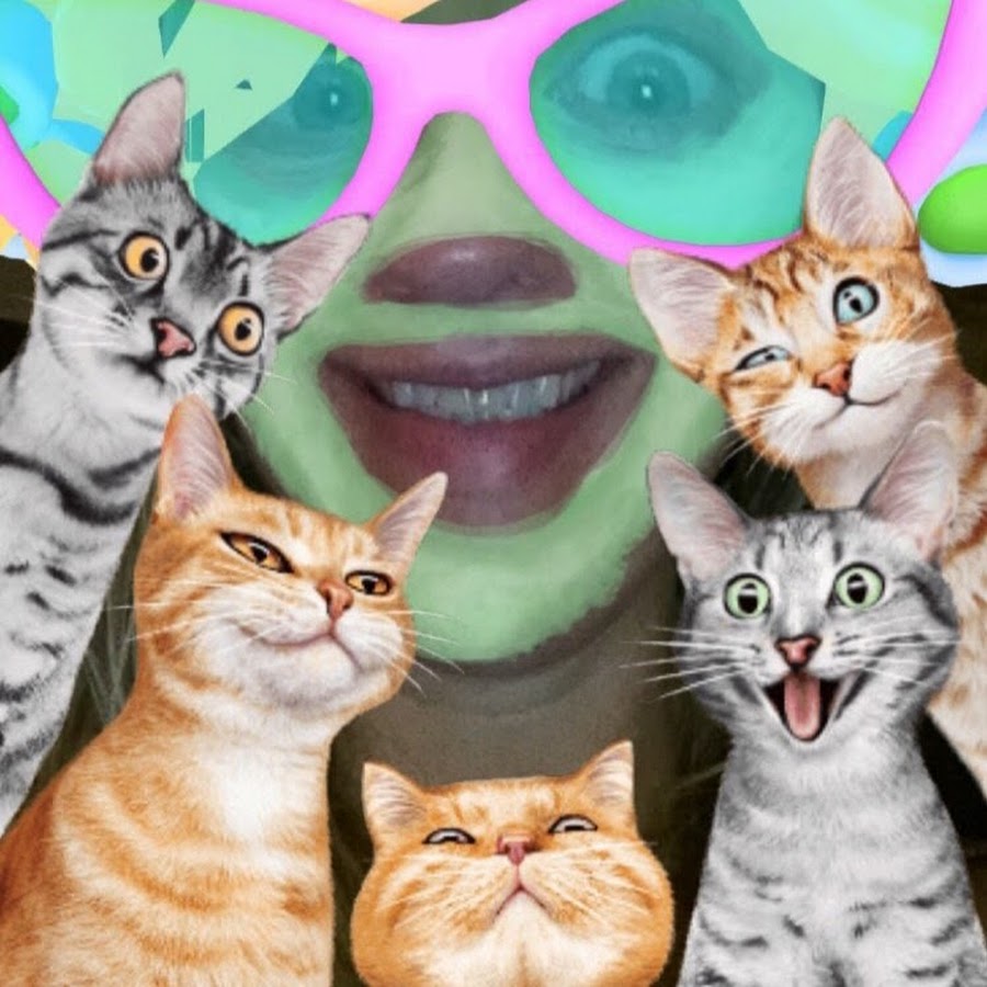 Crazy Cat Lady Avatar canale YouTube 