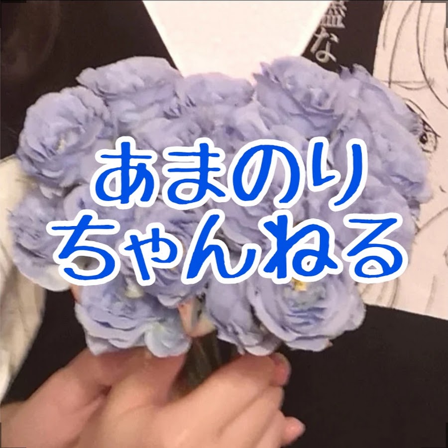 あまのり Youtube