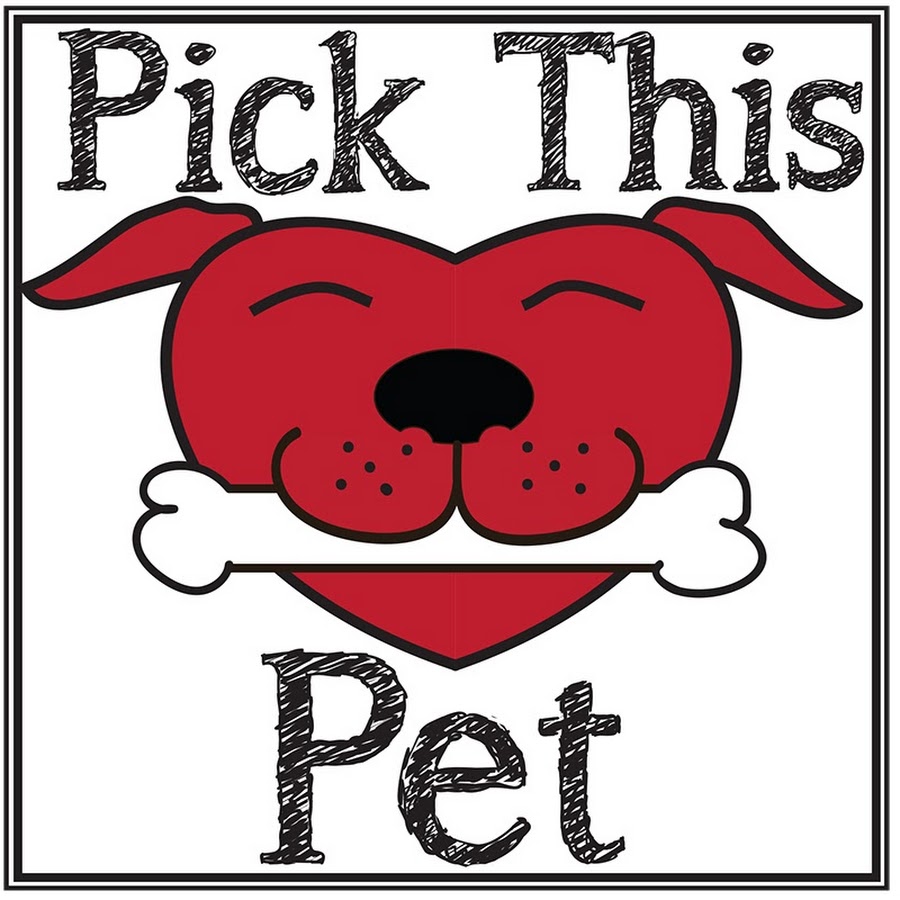 Pick This Pet رمز قناة اليوتيوب