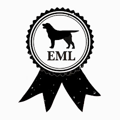Thumbnail of related channel