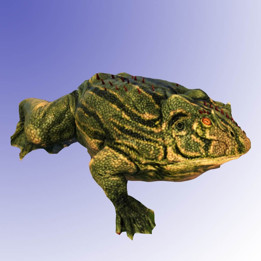 Fat Frog's Swamp YouTube 频道头像