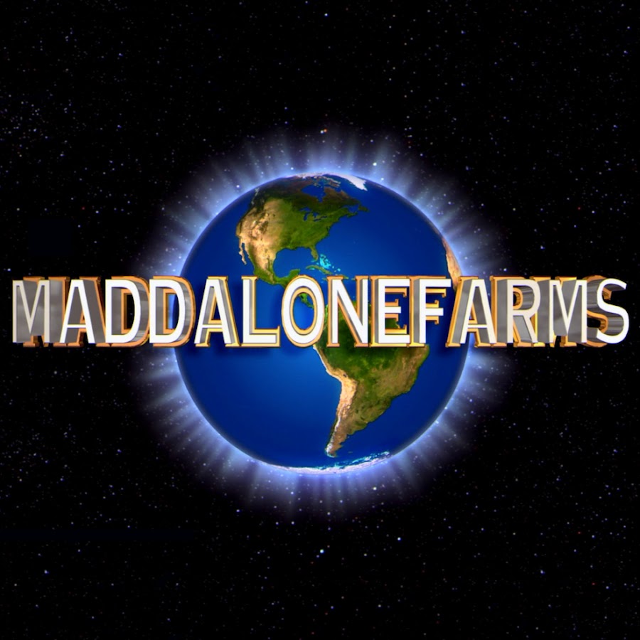 Maddalonefarms ইউটিউব চ্যানেল অ্যাভাটার