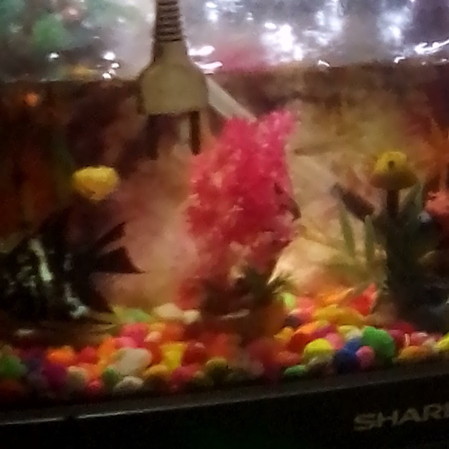 Aneka Servis07 Youtube