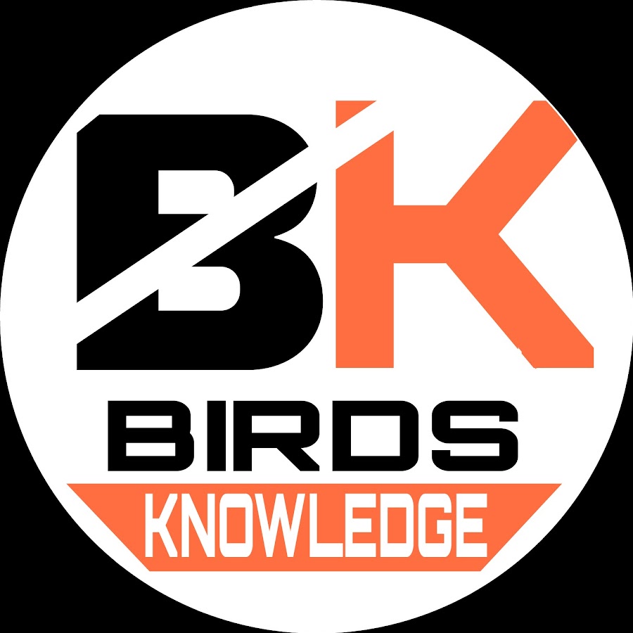 Birds Knowledge & Information Аватар канала YouTube