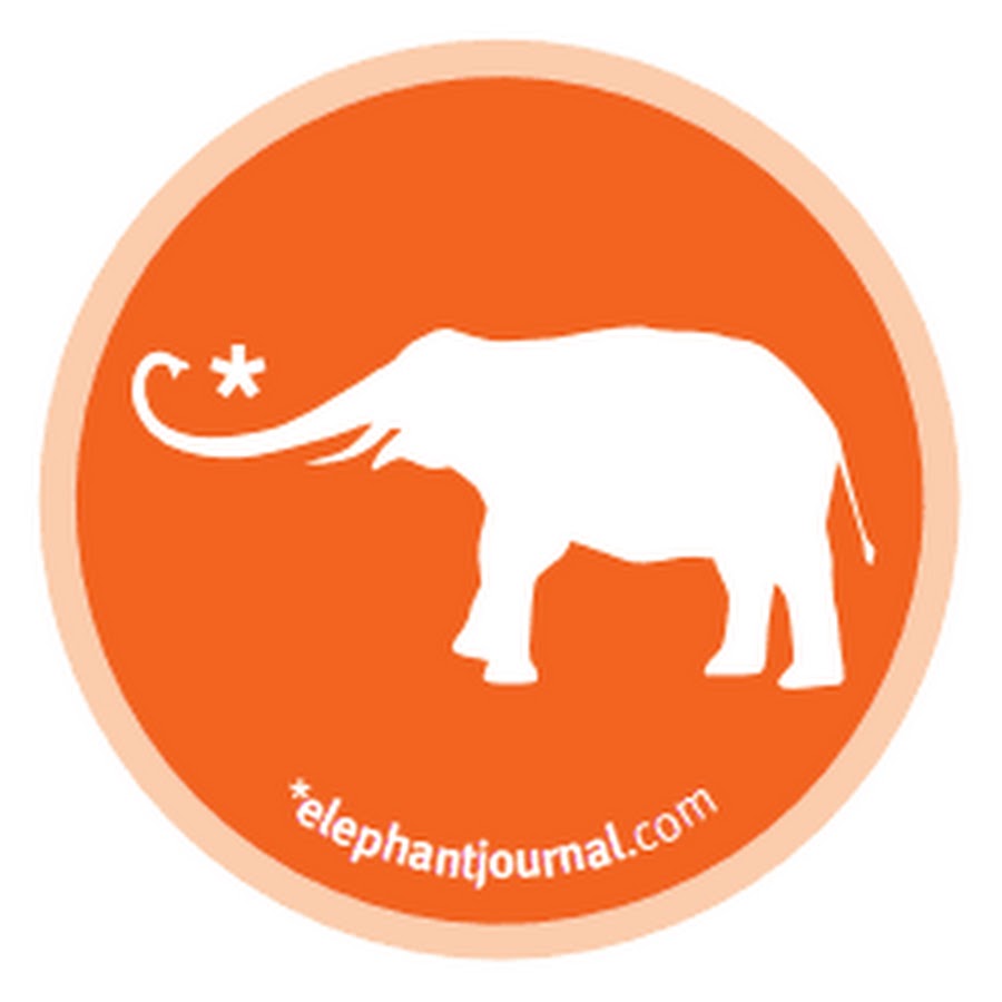 Elephant Journal ইউটিউব চ্যানেল অ্যাভাটার