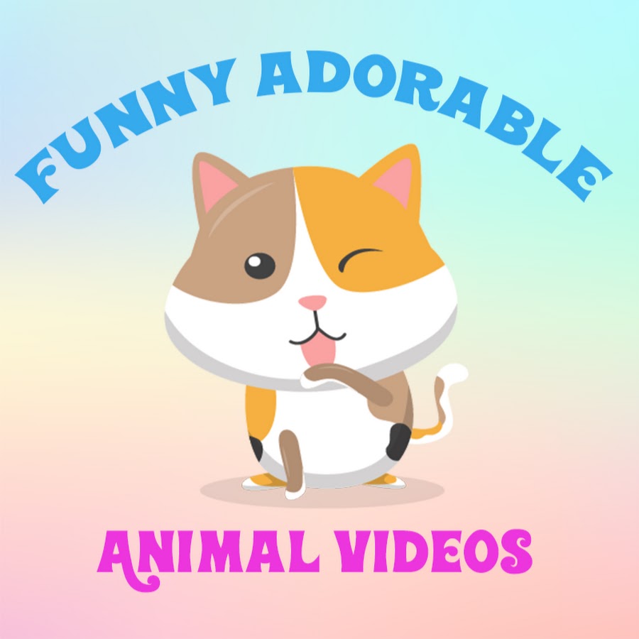 Funny Adorable Animal Videos Avatar de chaîne YouTube