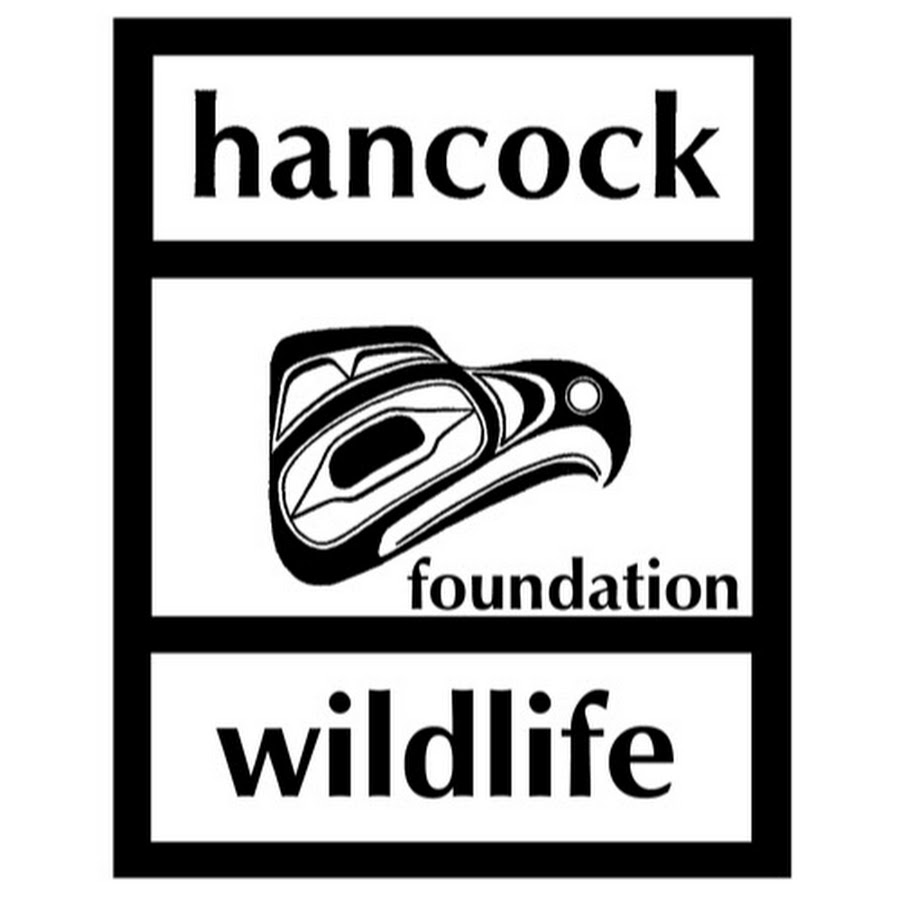 Hancock Wildlife Foundation ইউটিউব চ্যানেল অ্যাভাটার