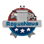 RogueNews net worth