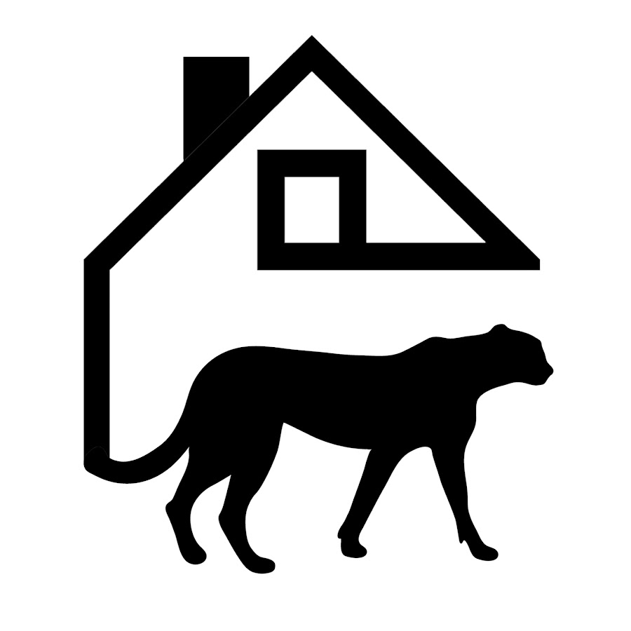 Cheetah House رمز قناة اليوتيوب