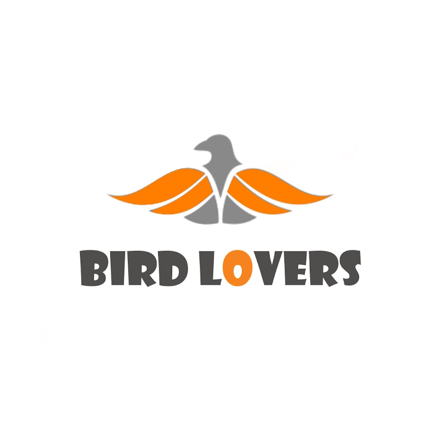 Bird lovers رمز قناة اليوتيوب