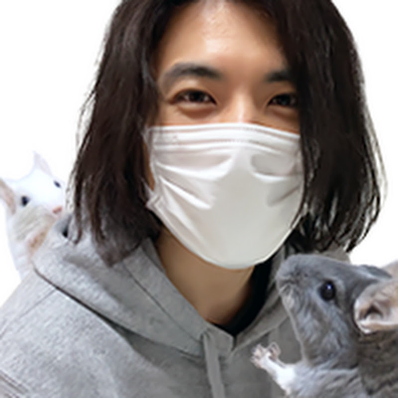 ちーちゃんねるのウラ側 Youtube分析