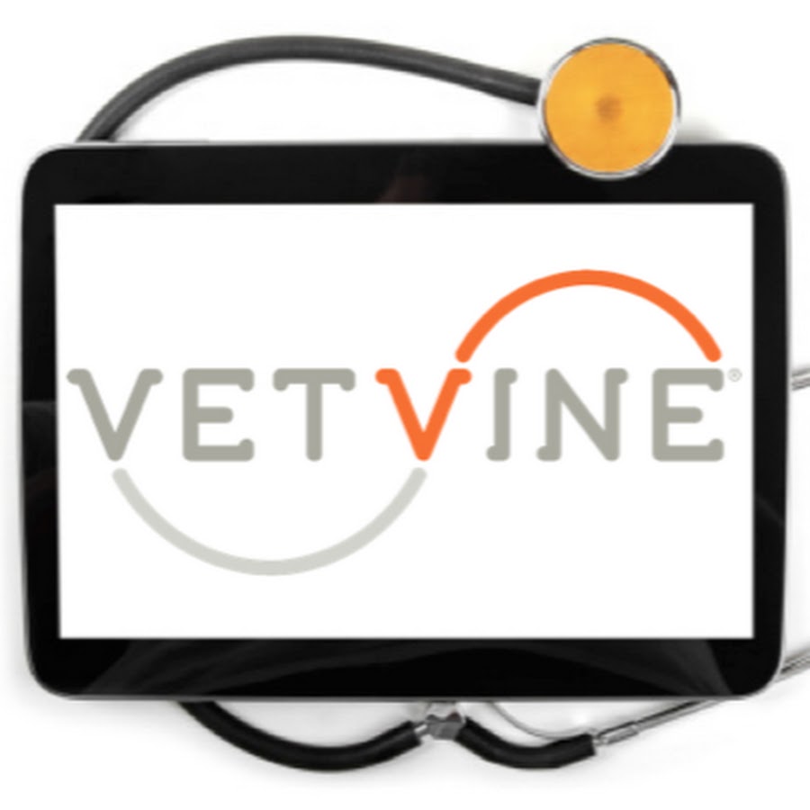 VetVine Hub رمز قناة اليوتيوب