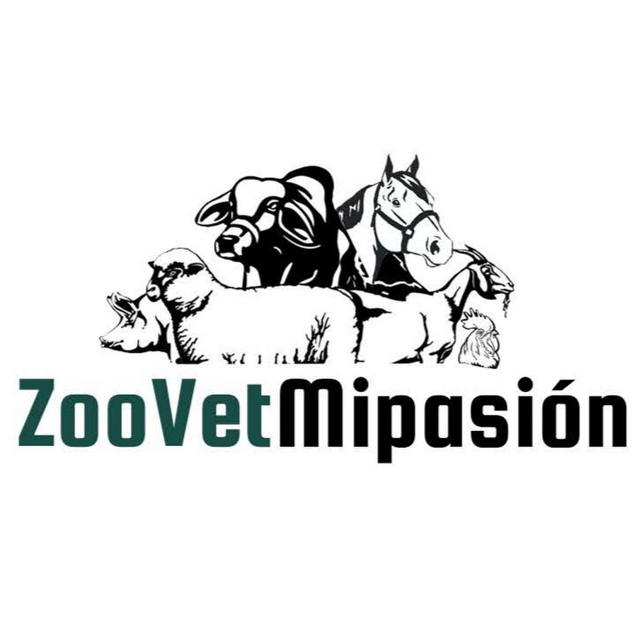 Zootecnia y Veterinaria es mi pasion YouTube channel avatar