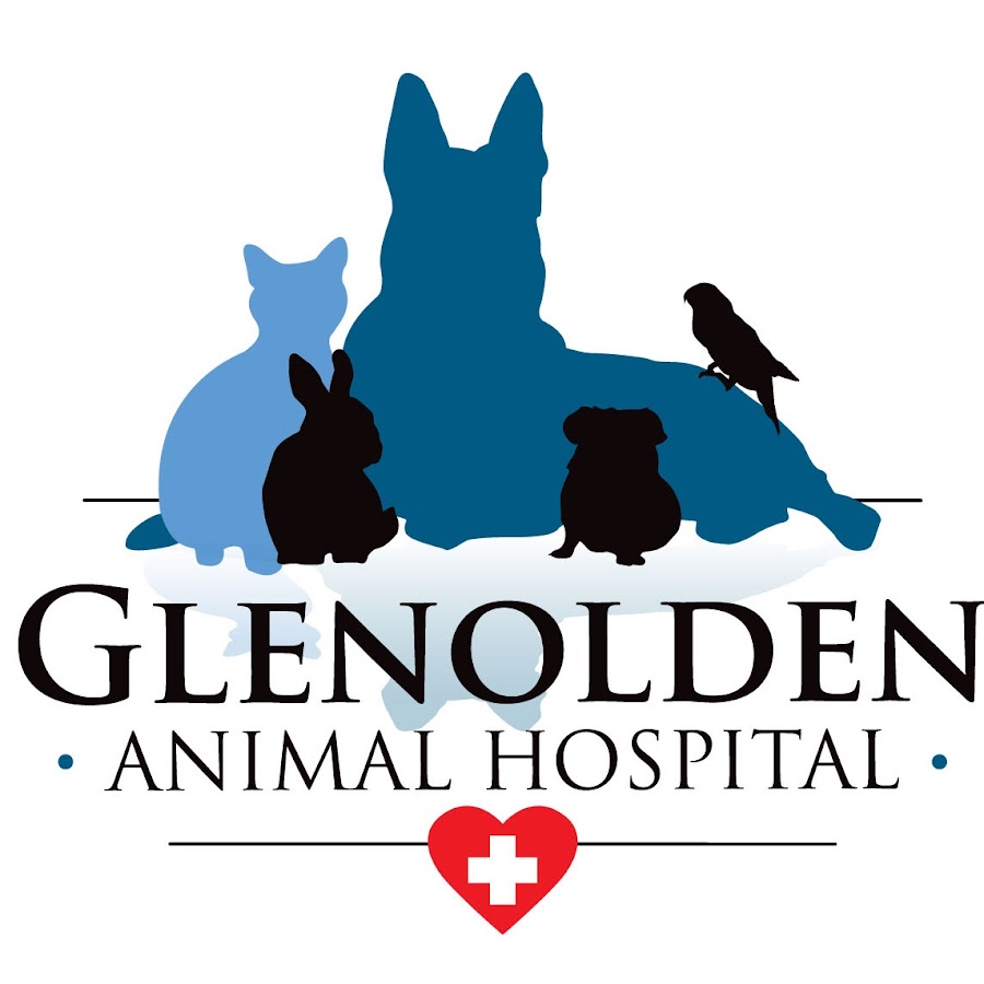 Glenolden Animal Hospital Avatar channel YouTube 