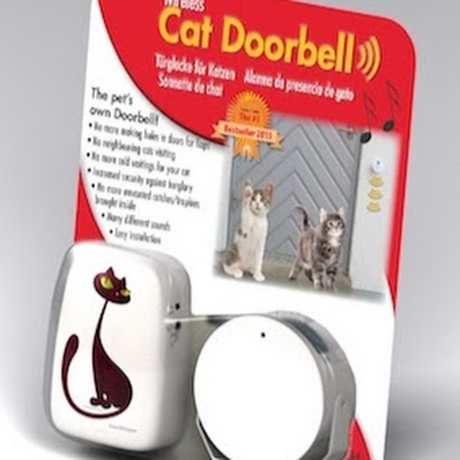 Cat Doorbell Dog