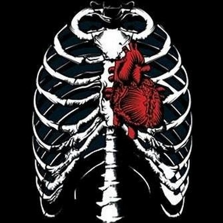 Фон скелет. Скелет сердца человека. Скелет с разбитым сердцем. Скелет сердца человека. Скелет сердца человека.