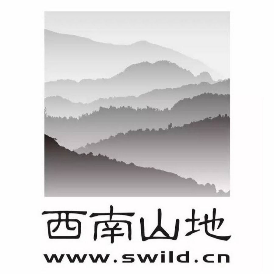 Swild Studio ইউটিউব চ্যানেল অ্যাভাটার