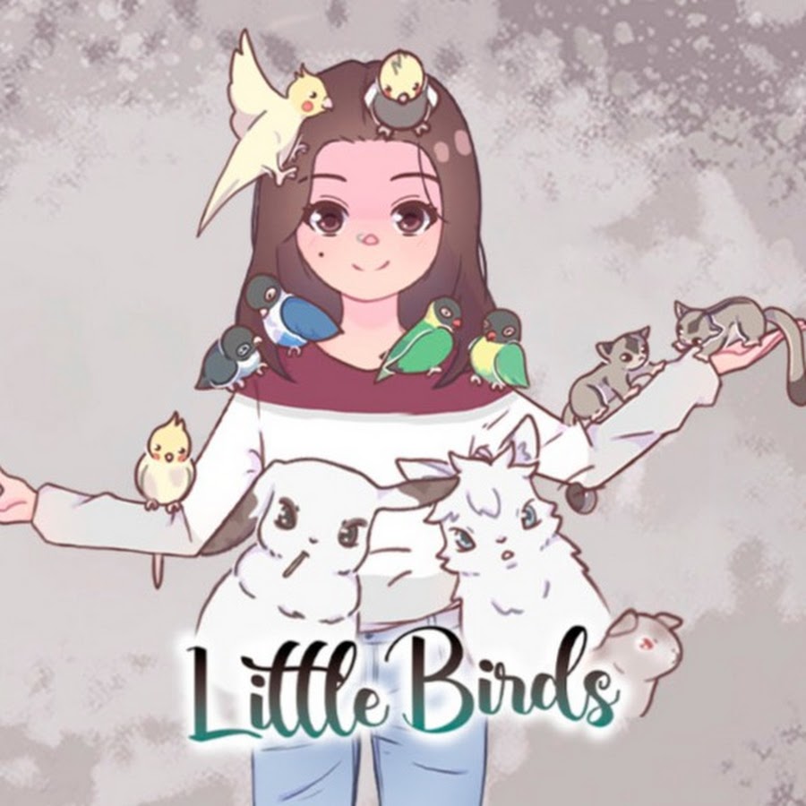 LittleBirds رمز قناة اليوتيوب