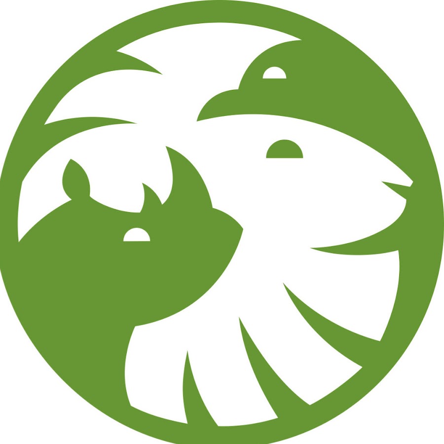 San Diego Zoo Avatar de chaîne YouTube
