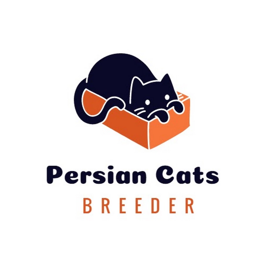 PERSIAN CATS BREEDER