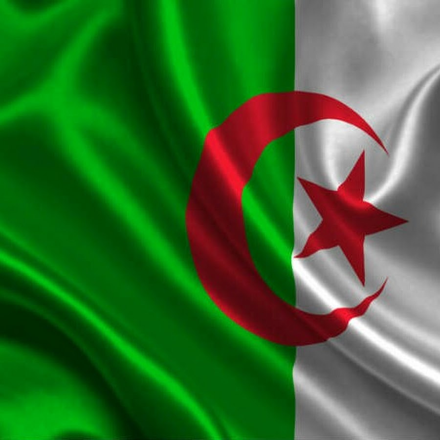 kamel algeria YouTube channel avatar
