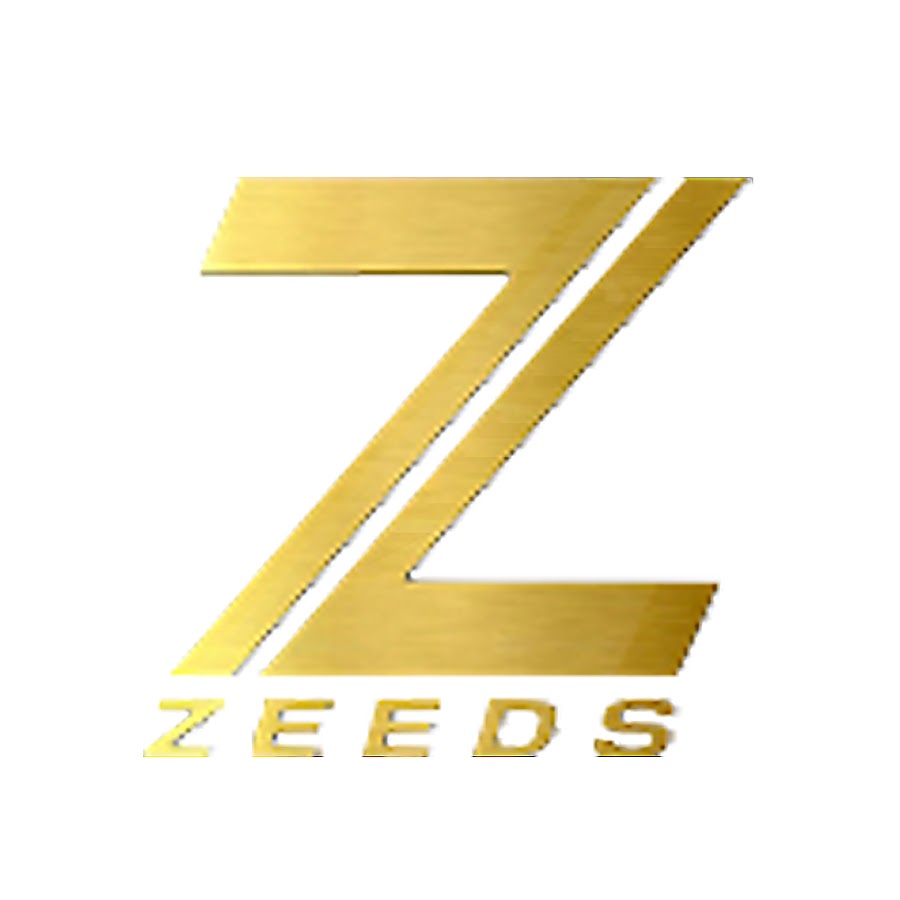 ZEEDS CORP YouTube channel avatar