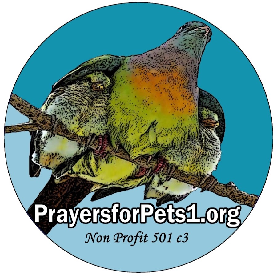 Prayers for Pets1 NonProfit رمز قناة اليوتيوب