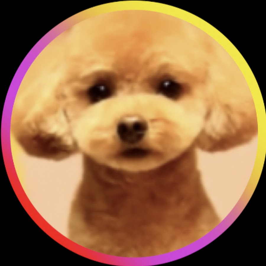 DOGDIAMOND1 YouTube channel avatar