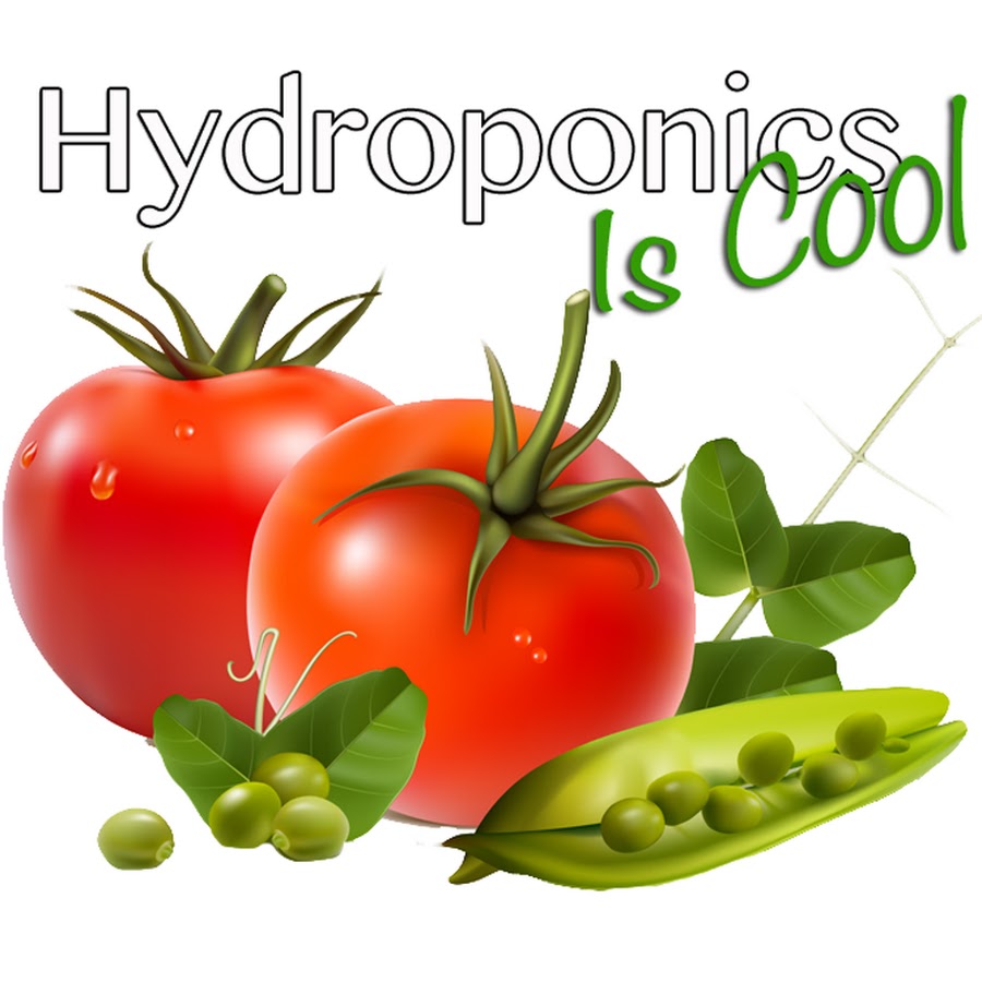HydroponicsIsCool YouTube channel avatar