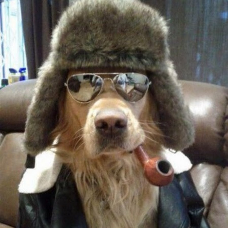Карта Метро Магазин