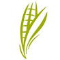 North Dakota Corn Growers Association