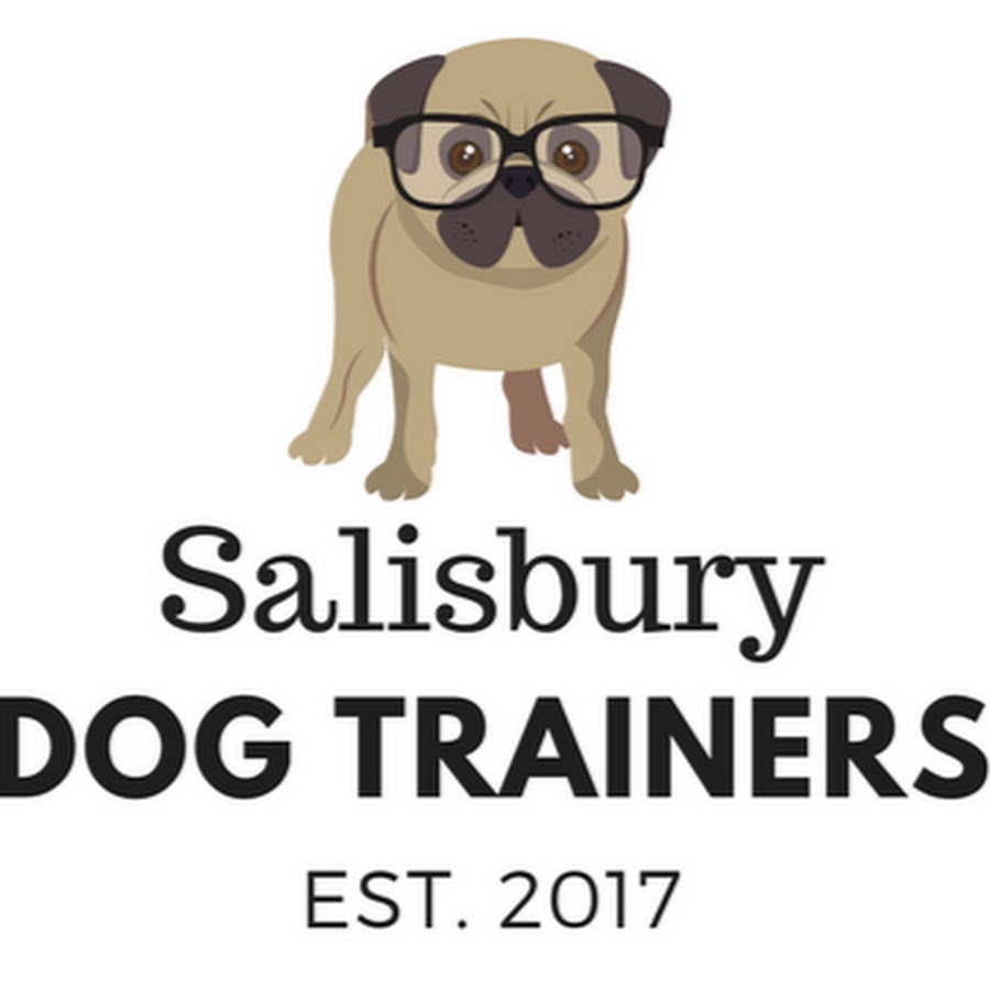 Salisbury Dog Trainers ইউটিউব চ্যানেল অ্যাভাটার