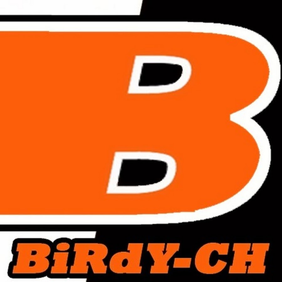 BiRdY-CH YouTube 频道头像