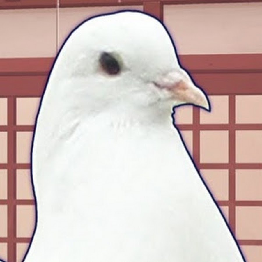 はとやまぽぽこ Youtube