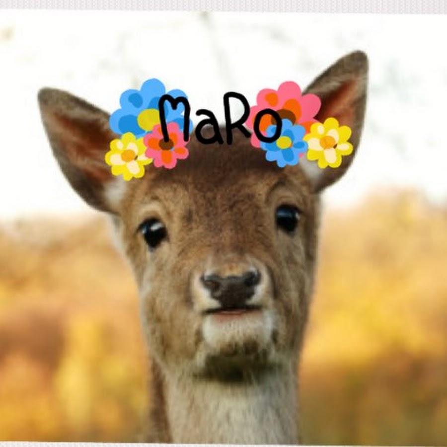 å¥ˆè‰¯é¹¿MaRo YouTube channel avatar