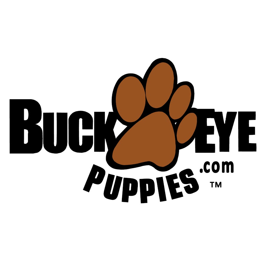 Buckeye Lancaster YouTube-Kanal-Avatar