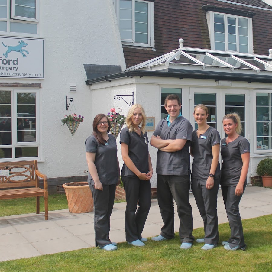Knutsford Veterinary Surgery YouTube channel avatar