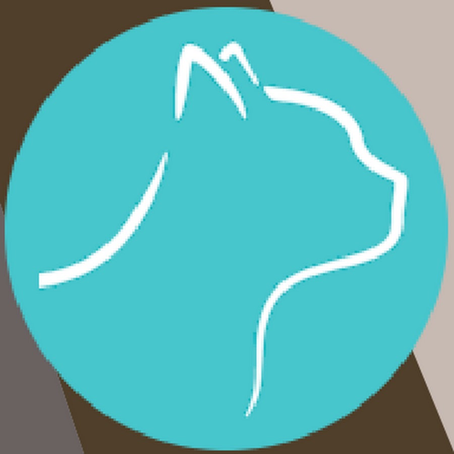 Catspad Avatar de canal de YouTube