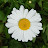실크