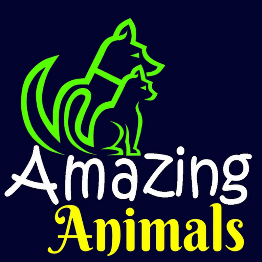 Amazing10Zzz YouTube channel avatar