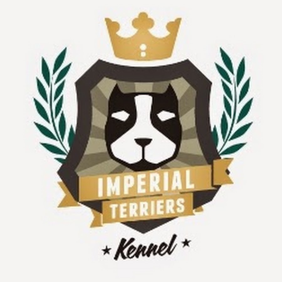 Imperial Terriers Kennel YouTube kanalı avatarı