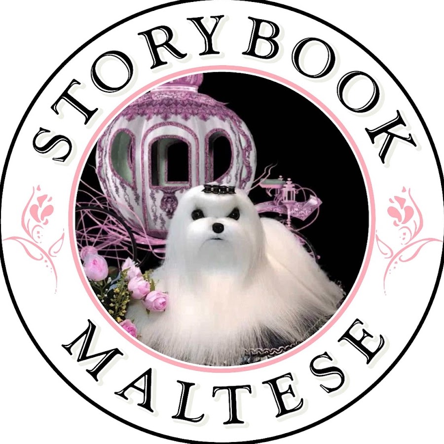 Storybook Maltese YouTube channel avatar