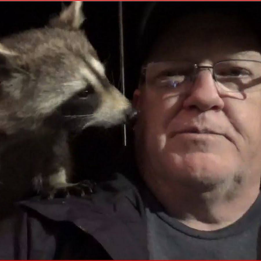 James Blackwood - Raccoon Whisperer YouTube channel avatar