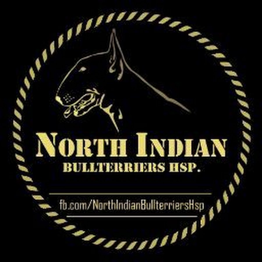 North Indian Terriers